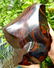 20 KG Huge Tiger Eye Healing Tumble - 7