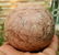 465 Grams Beautiful Wood Stone Sphere -Diametern-70 mm