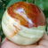 574 Grams Beautiful Onix Sphere -Diameter-73 mm - 3