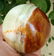 574 Grams Beautiful Onix Sphere -Diameter-73 mm - 4