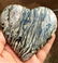 293 Grams Zebra Stone Healing Heart