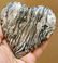 293 Grams Zebra Stone Healing Heart - 2