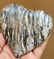 293 Grams Zebra Stone Healing Heart - 4