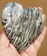 293 Grams Zebra Stone Healing Heart - 5