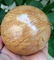 579 Grams Beautiful Wood Stone Sphere -Diameter