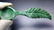 42 Gram Natural Aventurine Healing Spoon - 4