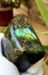 285.6 Grams Colorful Labradorite Healing Tumblr - - 4