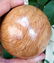 650 Grams Beautiful Wood Stone Sphere - 2