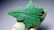 27.2 Gram Natural Aventurine Healing Leaf - 4