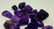 100 Grams Beautiful Fluorite Tumblers - 3