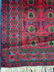 Lal Bukhara Handknotted Afghan Rug - 3