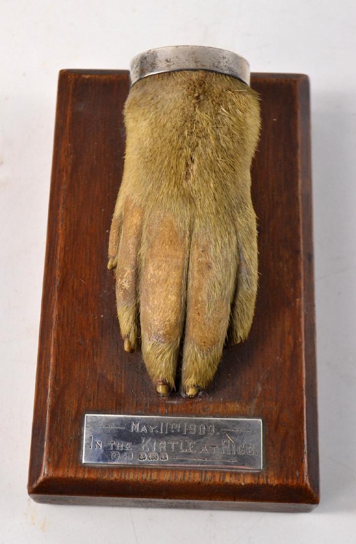 RARE An Edwardian 1909 presented and mounted otter's: RARE An Edwardian 1909 presented and mounted otter's foot with silver stamp 1908 BIRMINGHAM mount size given L: 13cm approx W: 8cm approx