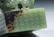 AN OLD YELLOW JADE STONE SEAL - 10
