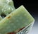 AN OLD YELLOW JADE STONE SEAL - 7