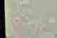 item-107665075=4