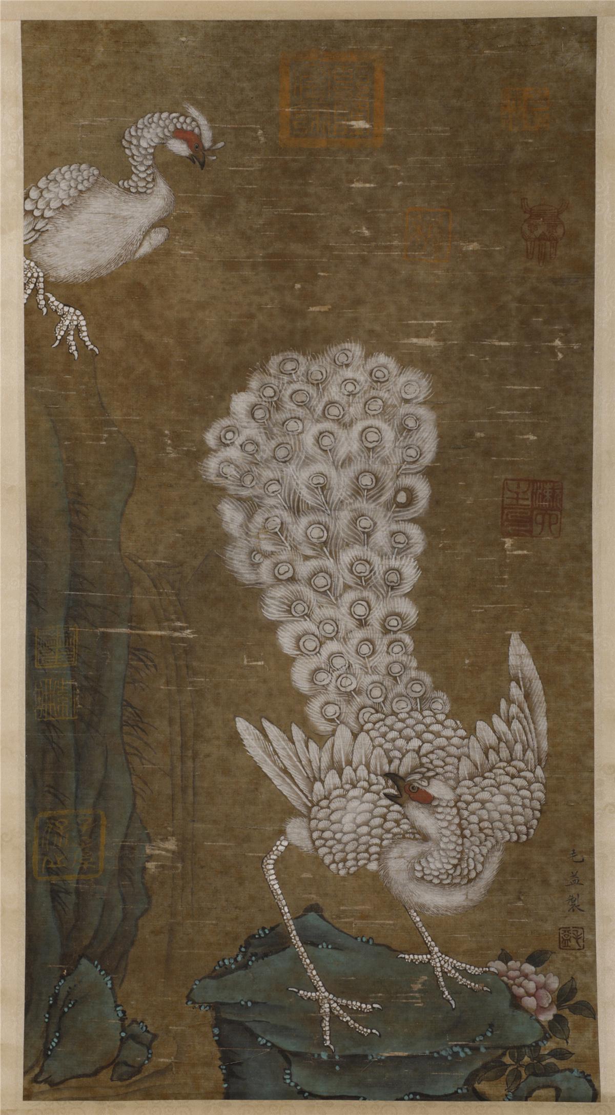A PEACOCK SILK PAINTING SCROLL (1 of 6)