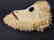 Two Panamanian handmade Embera tribe woven masks - 6