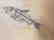 Fish fossil specimen from Ulrich's Fossil Gallery - 2