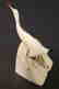 Eskimo Cormorant carving by Arnie Iyakitan - 3