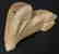 Eskimo carved whalebone walrus with baleen eyes