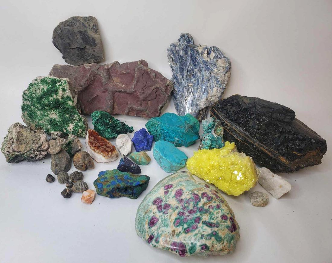 Large collection of mineral specimens, fossils, etc. (1 of 11)