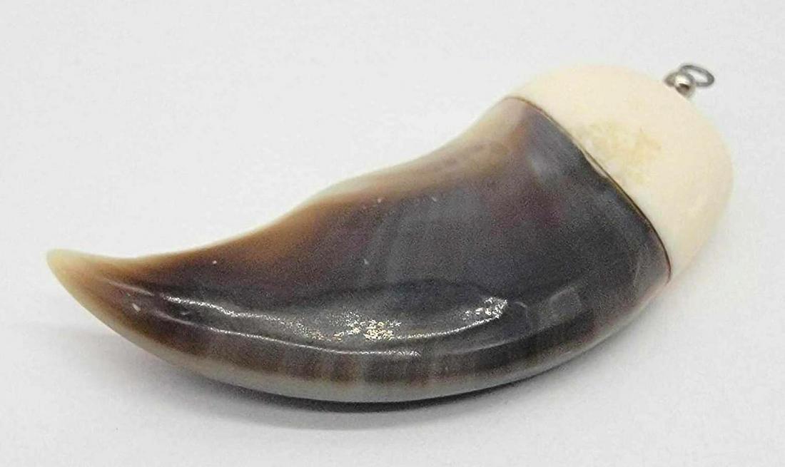 Polar Bear Claw with Walrus Tusk Cap #1: A Polar Bear claw with Walrus tusk cap and drilled pendant loop. Measures approximately 3" long.