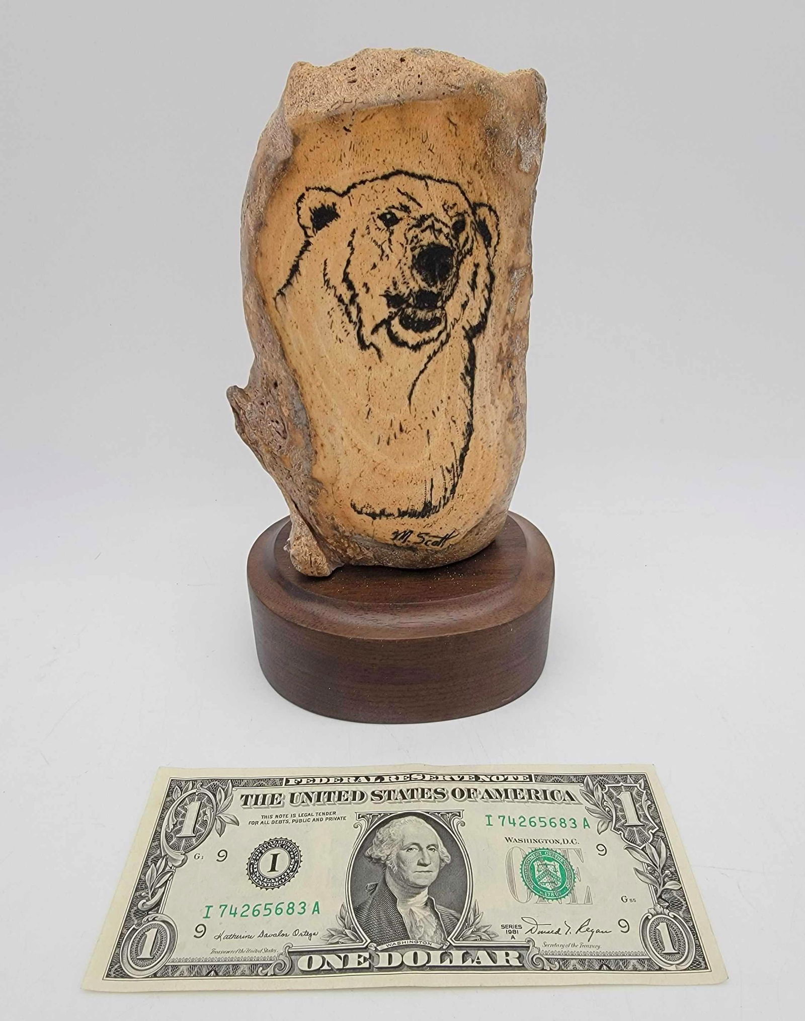Walrus Bone w/Scrimshaw Polar Bear by Michael Scott: A section of Walrus skull adorned with detailed scrimshaw scene depicting a Polar Bear signed for Michael Scott and mounted to a wood pedestal base. Measures approximately 8" x 4.5" x 3".