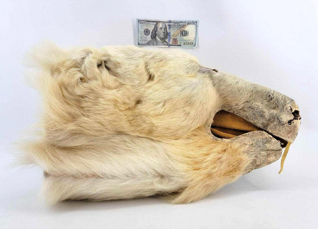 Taxidermied Polar Bear Head Purse c. 1950: A vintage taxidermy polar bear head with felt-lined interior to initially be worn as a purse or used as a storage bag. The specimen exhibits age-related wear and has flattened and become somewhat rigi