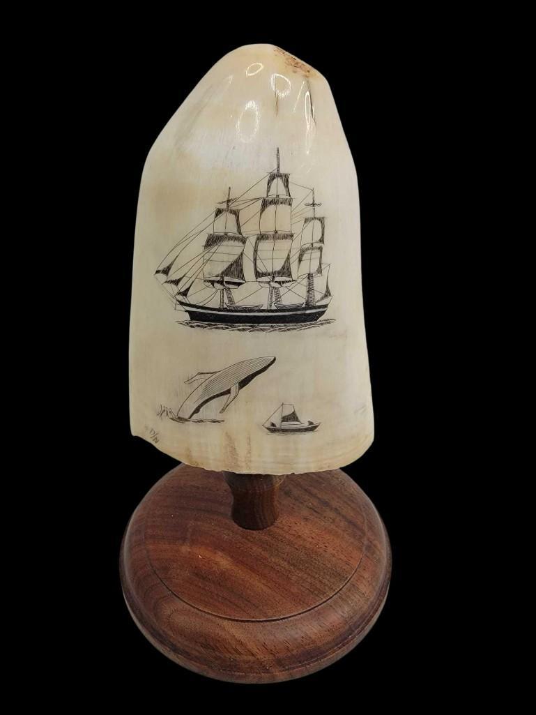 Scrimshaw Whale Tooth w/Whaling Scene: A scrimshaw whale tooth of approximately 5" in length featuring a whaling scene with a three-masted vessel in the background and a breaching whale next to a support vessel in the foreground. Accompani