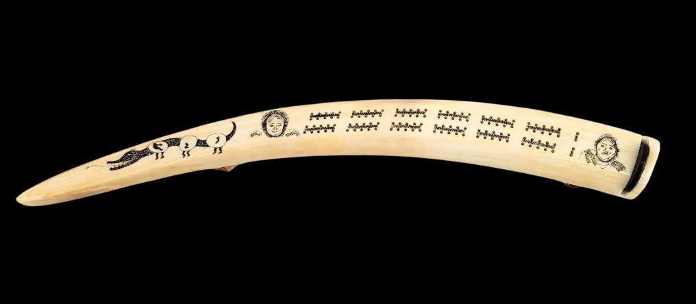 16.25" Walrus Tusk Cribbage Board w/Scrimshaw Kikituk - Mar 05, 2023