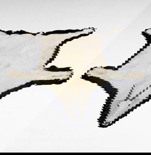 64" Mountain Goat Rug