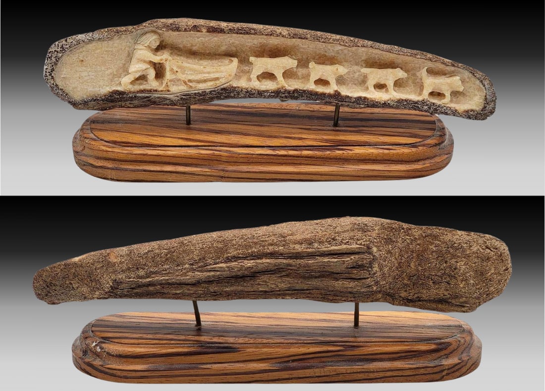 Relief Carved Fossil Walrus Tusk Dog Sled Team: A fossilized walrus tusk segment, hollowed out and carved in relief to depict a musher with sled and four husky or malamute dogs leading the way. Mounted by way of dual rods upon a wooden slab with ro
