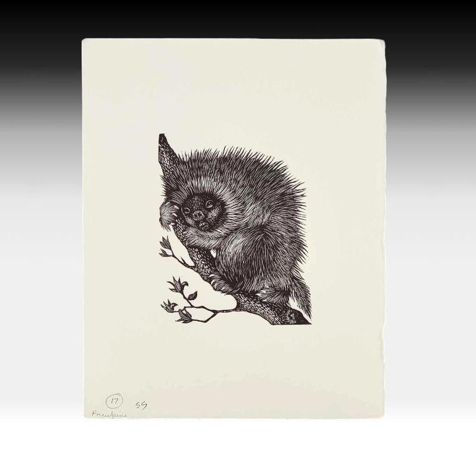 Dale De Armond "Porcupine" Woodblock Print: A print by Alaska artist Dale De Armond (1914-2006) entitled "Porcupine". The work is a wood engraving from an original end-grain maple block hand-pulled by the artist on deckled paper c.1990,