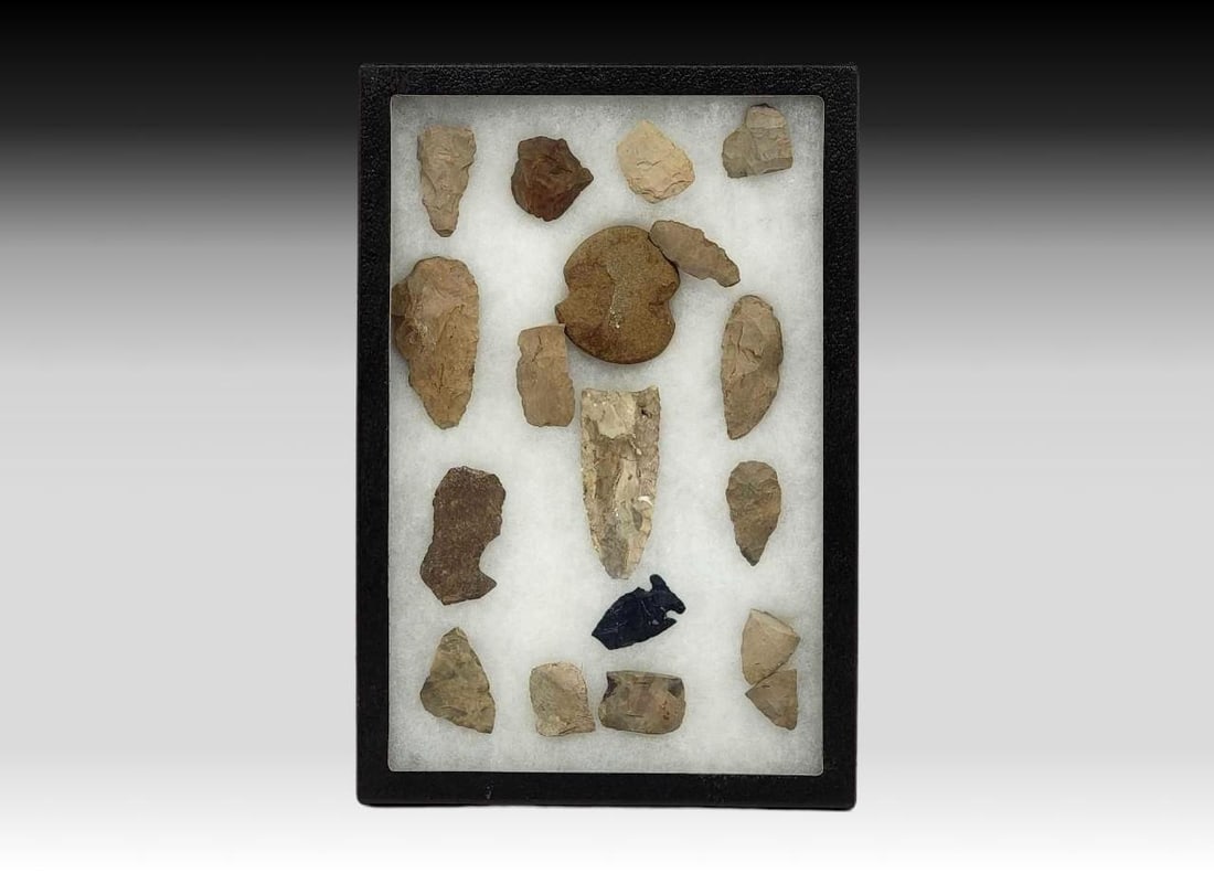 Native American Stone Implement Collection: A grouping of Native American arrowhead, adze, spear, and other implements from a variety of type material, set against a white background within a Riker display box. Measures approximately 12" x 