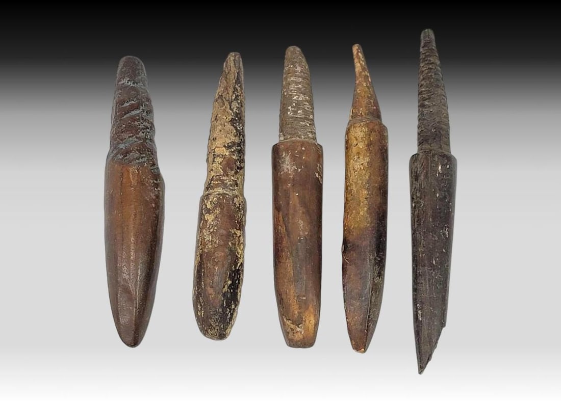 Large Spear Heads & Ice Testers: Five large Punuk or Thule period fossilized walrus tusk artifacts with dual use as ice testers and spear points. They would have been inserted firmly at the base end of a harpoon shaft to test the sol
