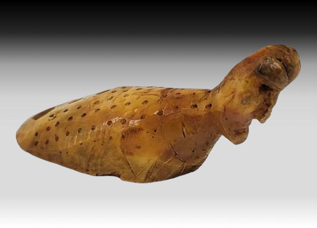 Thule Transformation Amulet: A striking transformation effigy from the Thule period. The artifact, carved from an ancient walrus tusk or tooth, is similar in style to a traditional gaming bird and features an elongated body with 