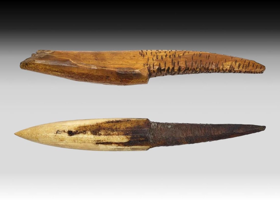 Thule Walrus Tusk Harpoon Ice Testers: Two Thule culture fossilized walrus tusk ice testers or picks, inserted firmly at the base end of a harpoon shaft for the purpose of testing the solidity of ice prior to stepping upon it; also used to