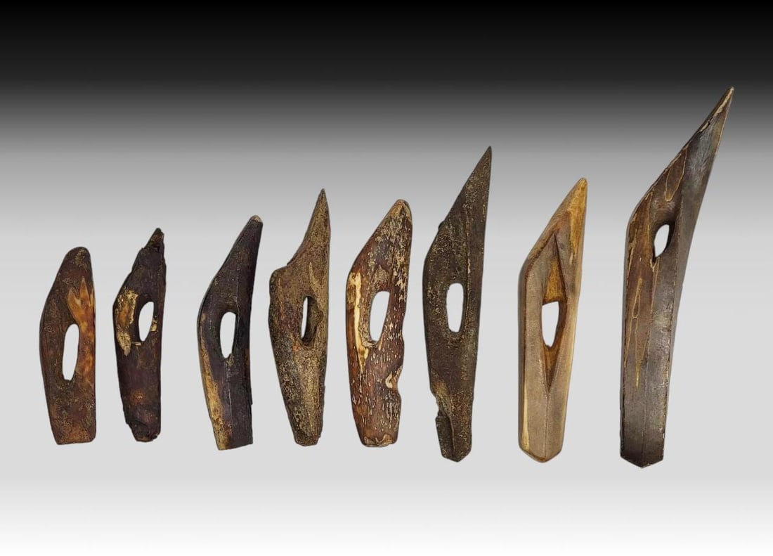 Thule Whaling Toggle Harpoon Heads: Eight Thule culture fossilized walrus tusk toggle harpoon head artifacts with socket and spur at base, with drilled hole above socket for harpoon line. Some heads are missing various parts as photogra
