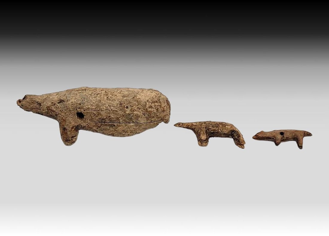 Punuk & Thule Animal Effigies: Three fossilized walrus tusk zoomorphic figures or charms in the shape of polar bears and a fox, Punuk or Thule culture. Figural charms were often carried by Bering Sea hunters to guide them to their 