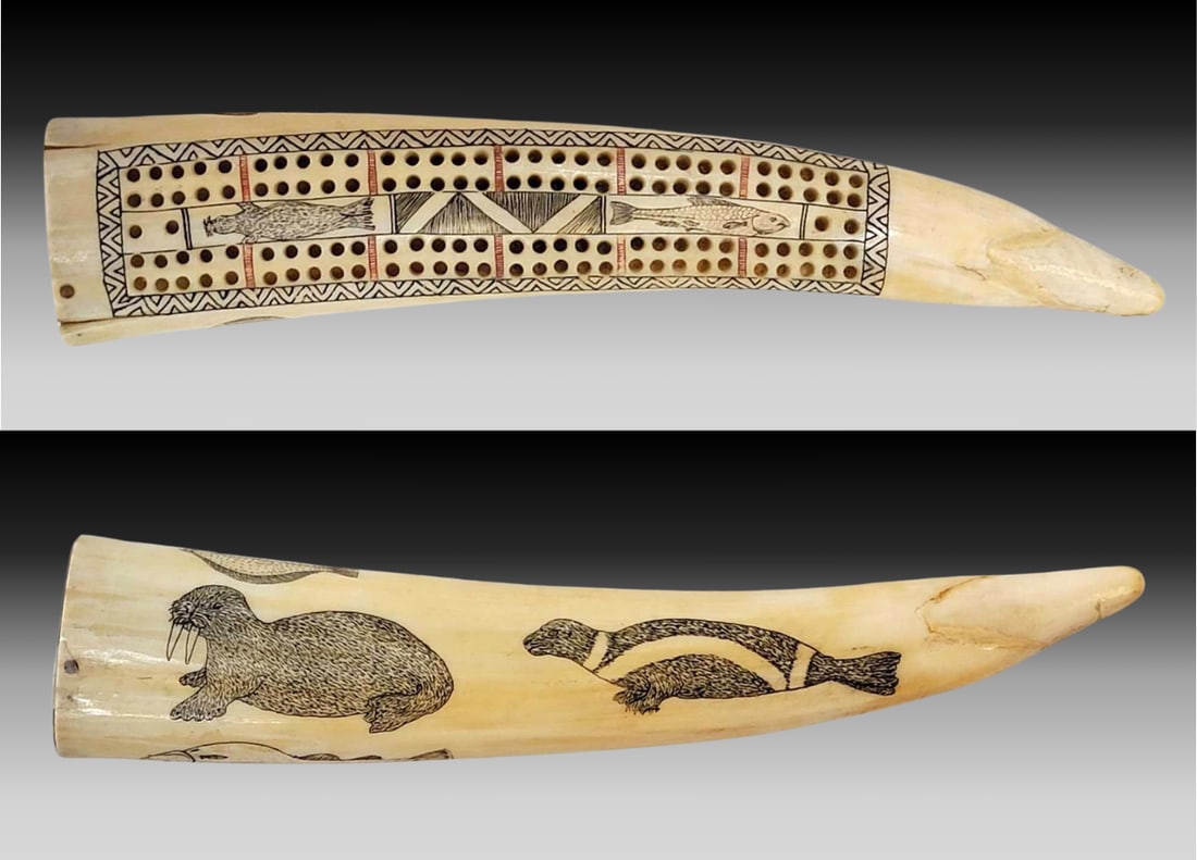 Walrus Tusk Cribbage Board w/ Scrimshaw Arctic Sealife: A mid 20th century walrus tusk cribbage board with polychrome geometric scrimshaw board with seal and salmon as the central focus. Underside features a scrimshaw walrus and ribbon seal, with further s