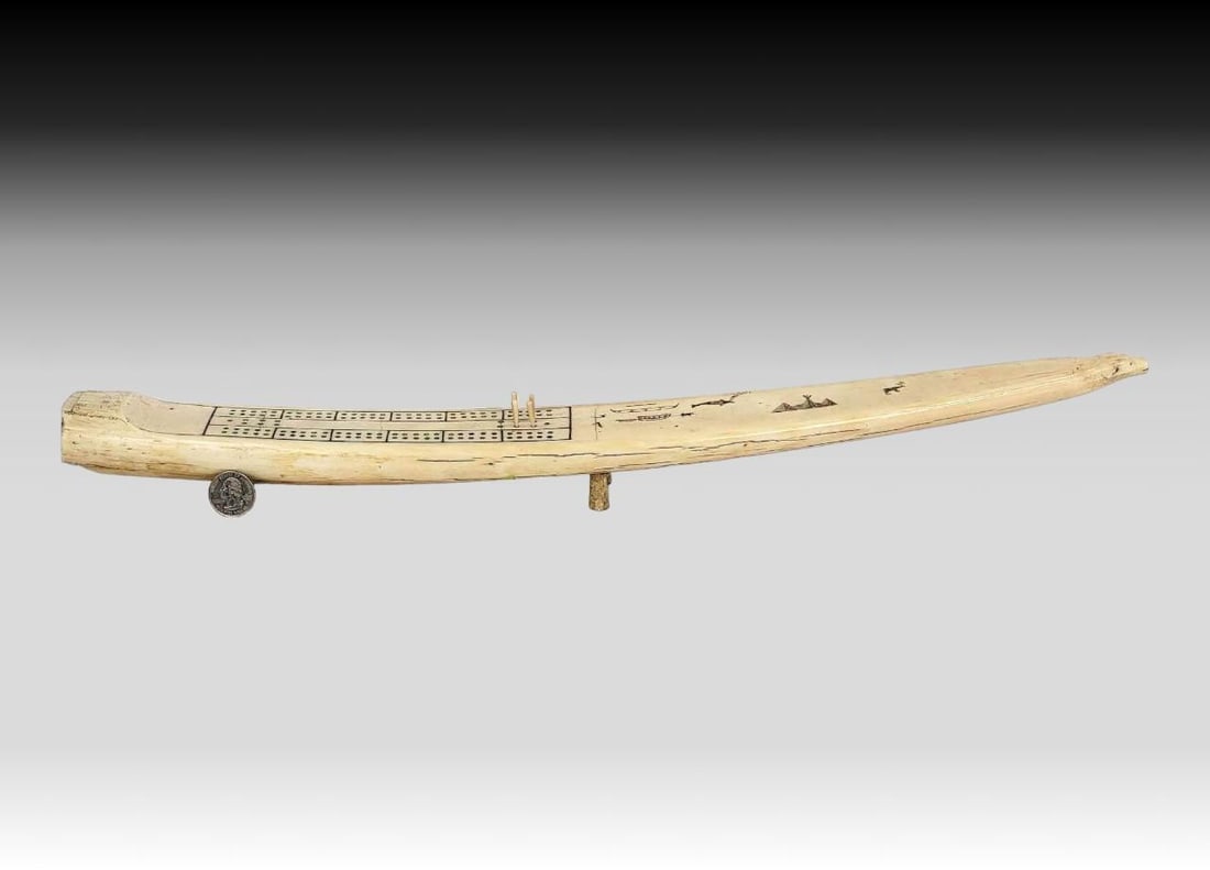 Walrus Tusk Cribbage Board w/ Alaska Imagery: A walrus tusk cribbage board with tip carved into the face of a polar bear, wide end featuring a sliding door for concealed playing peg storage, through which the original dentine layer is visible. Th