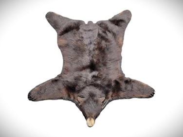 6' Long Black Bear Taxidermy Rug