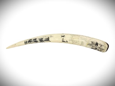 1989 Iditarod Presentation Award - Scrimshaw Walrus Tusk by Joe Blatchford