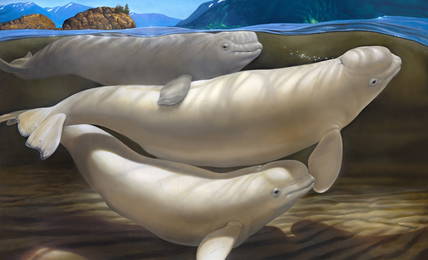 16' x 10' Tall James Havens "Cook Inlet Beluga" Original Oil Mural