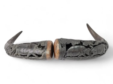 Carved Cape Buffalo Horns