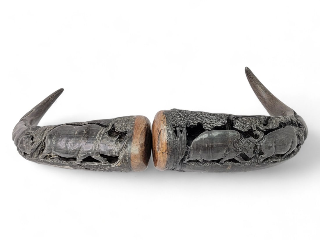 Carved Cape Buffalo Horns (1 of 12)