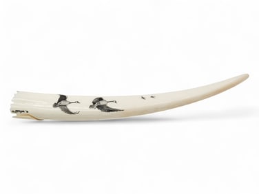 Scrimshaw Walrus Tusk - Harry Morgan