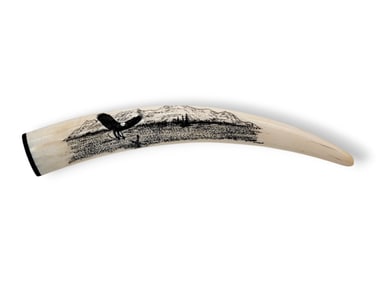 11" Walrus Tusk Scrimshaw - Ed Morris Milligrock