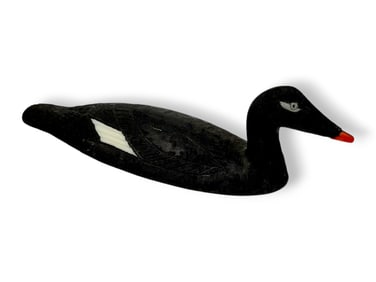 Iñupiat Walrus Tusk Polychrome White-Winged Scoter - Al Mayac