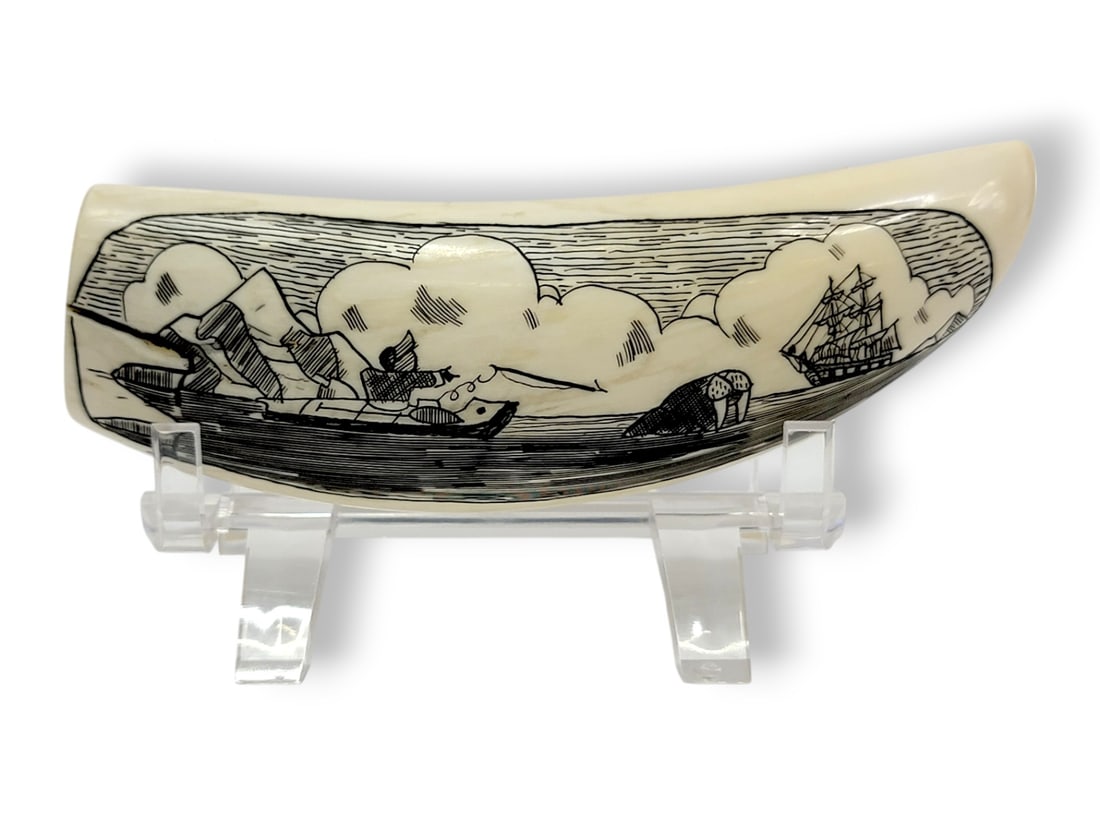 Whale Tooth w/ Walrus Hunter Scrimshaw: A whale tooth with scrimshaw depicting a walrus hunting scene, the hunter seated within his kayak, harpoon in flight and aimed at his vulnerable prey; a schooner sails in the background. Initialed "TS